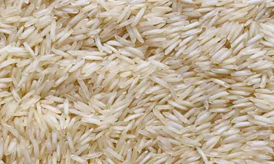 Basmati-rice-image.png