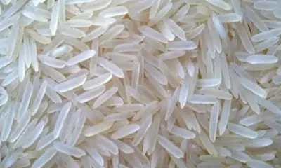Fortified-rice-image.png