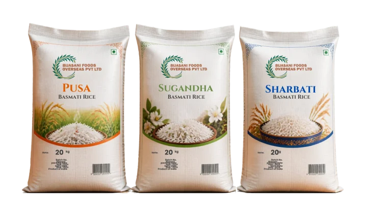 bijasanifood slide 1